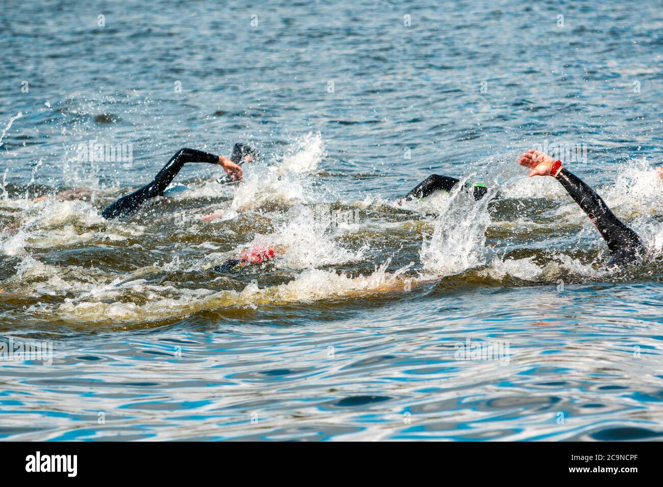 Triathlon swimmers in the water. Swimmers swim during swimming competition in the lake. Unrecognizable persons. Stock Photo
