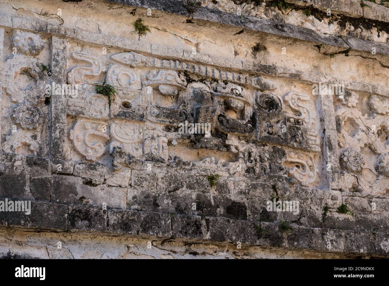 A carved stone Chaac mask in the Nunnery Complex in the ruins of the great Mayan city of Chichen Itza, Yucatan, Mexico. Stock Photo