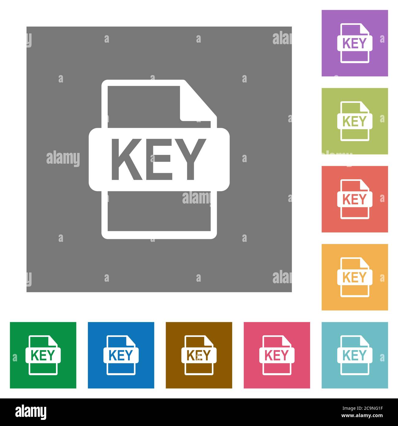 Private key file of SSL certification flat icons on simple color square ...