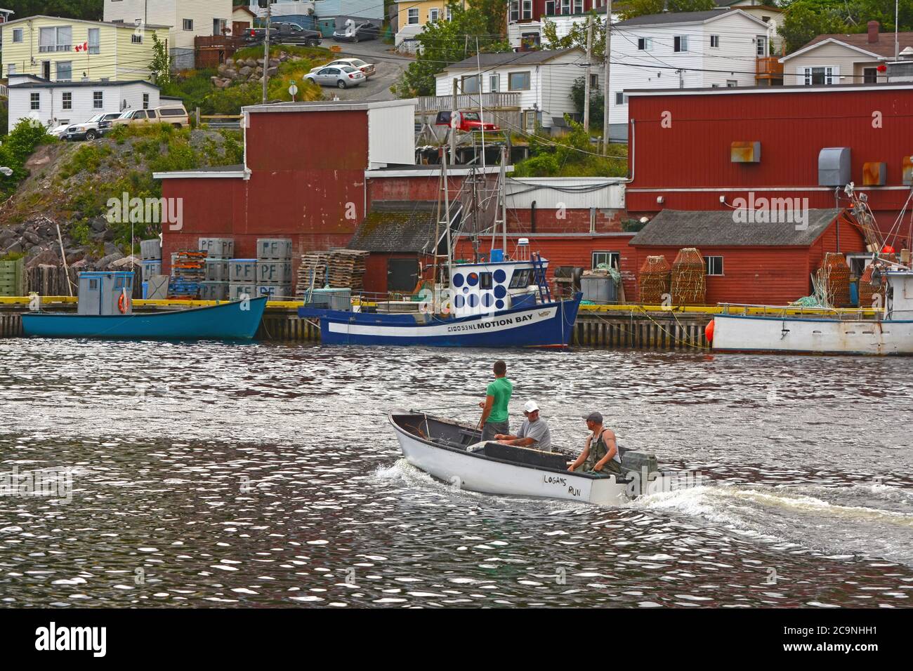 Bay bulls harbor, Newfoundland Stock Photo Alamy