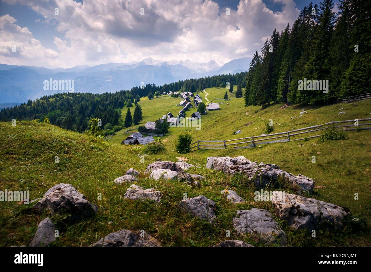 Zajamniki on a plateau Pokljuka in Julian Alps, Triglav national park, Slovenia Stock Photo