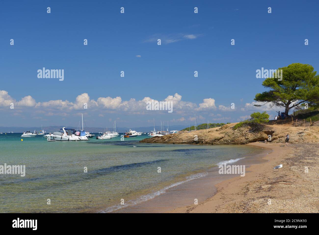 Porquerolles island The Courtade beach Stock Photo - Alamy