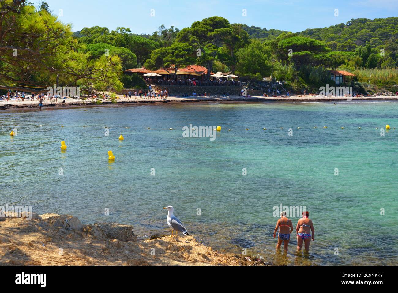 Porquerolles island The plage d'Argent beach Stock Photo - Alamy