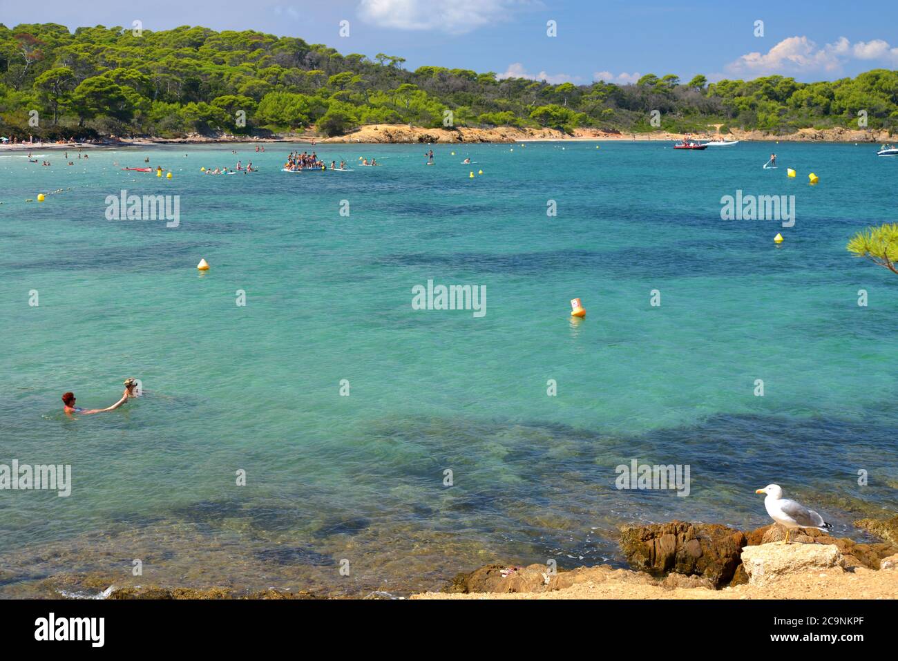 Porquerolles island The plage d'Argent beach Stock Photo Alamy