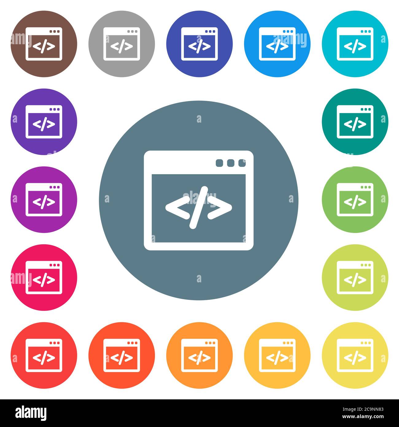 Programming code in software window flat white icons on round color ...