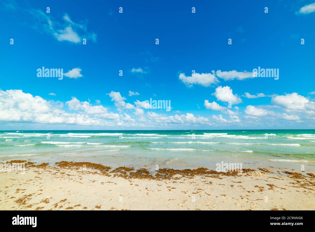 white-sand-and-turquoise-water-in-miami-beach-usa-stock-photo-alamy