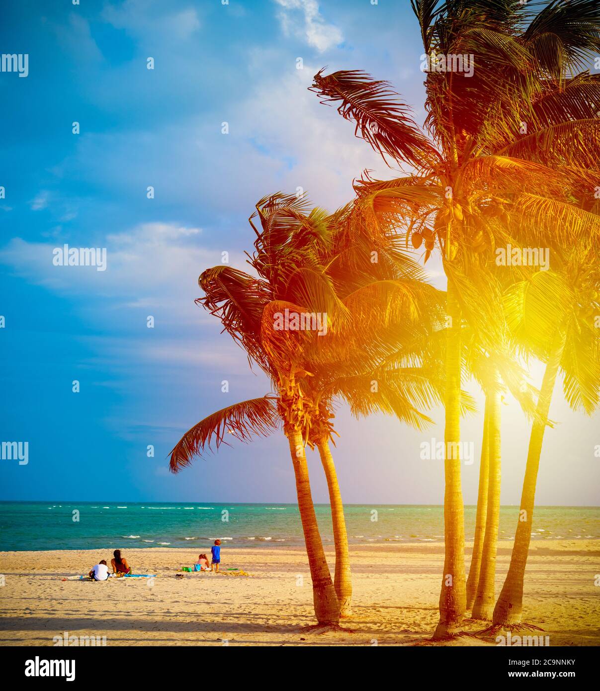 Family by coconut palm trees in Crandon Park at sunset. Miami, USA