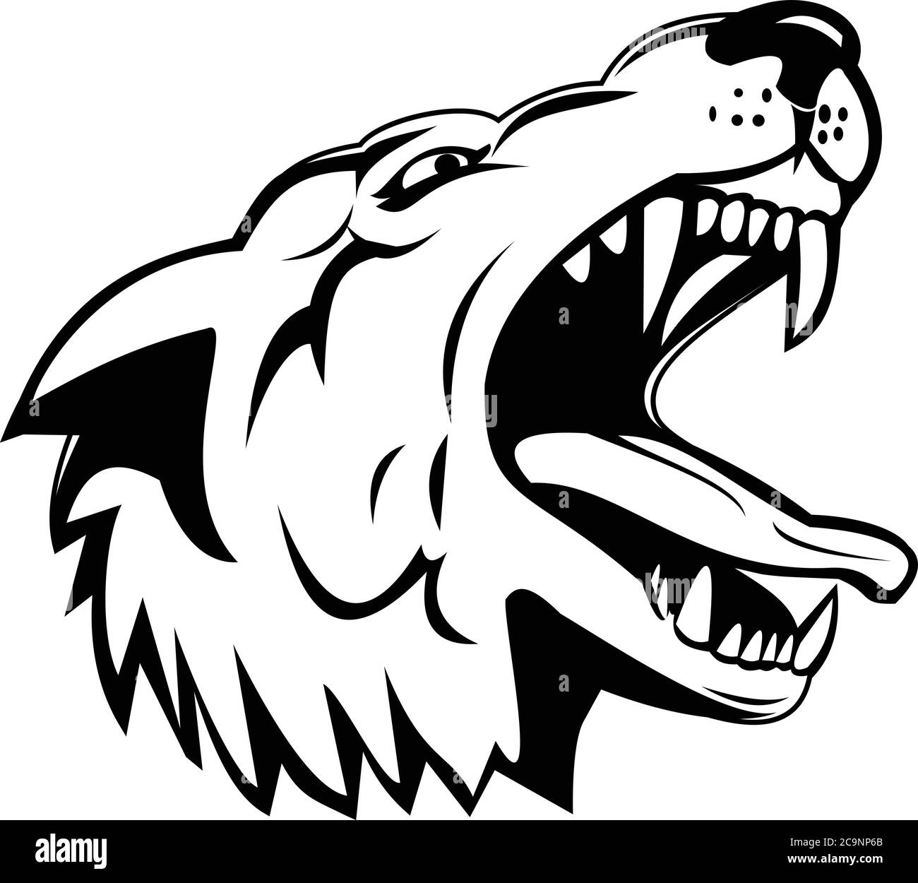 Sports mascot illustration of head of an aggressive and angry wolf, canis lupus, gray wolf or grey wolf, a large canine native to North America low an Stock Vector