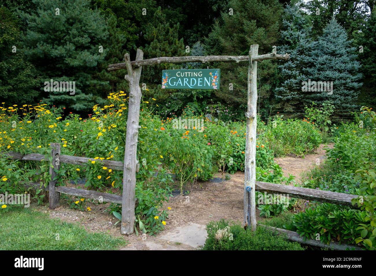 Pick your own flower Cutting Garden at Solebury Orchards, New Hope, Bucks County, Pennsylvania, USA Stock Photo