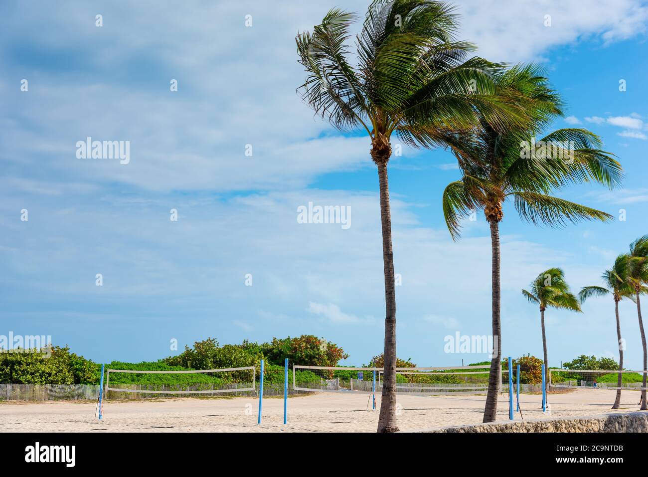 Beach Volley nets and palm trees in Miami Beach, USA Stock Photo Alamy