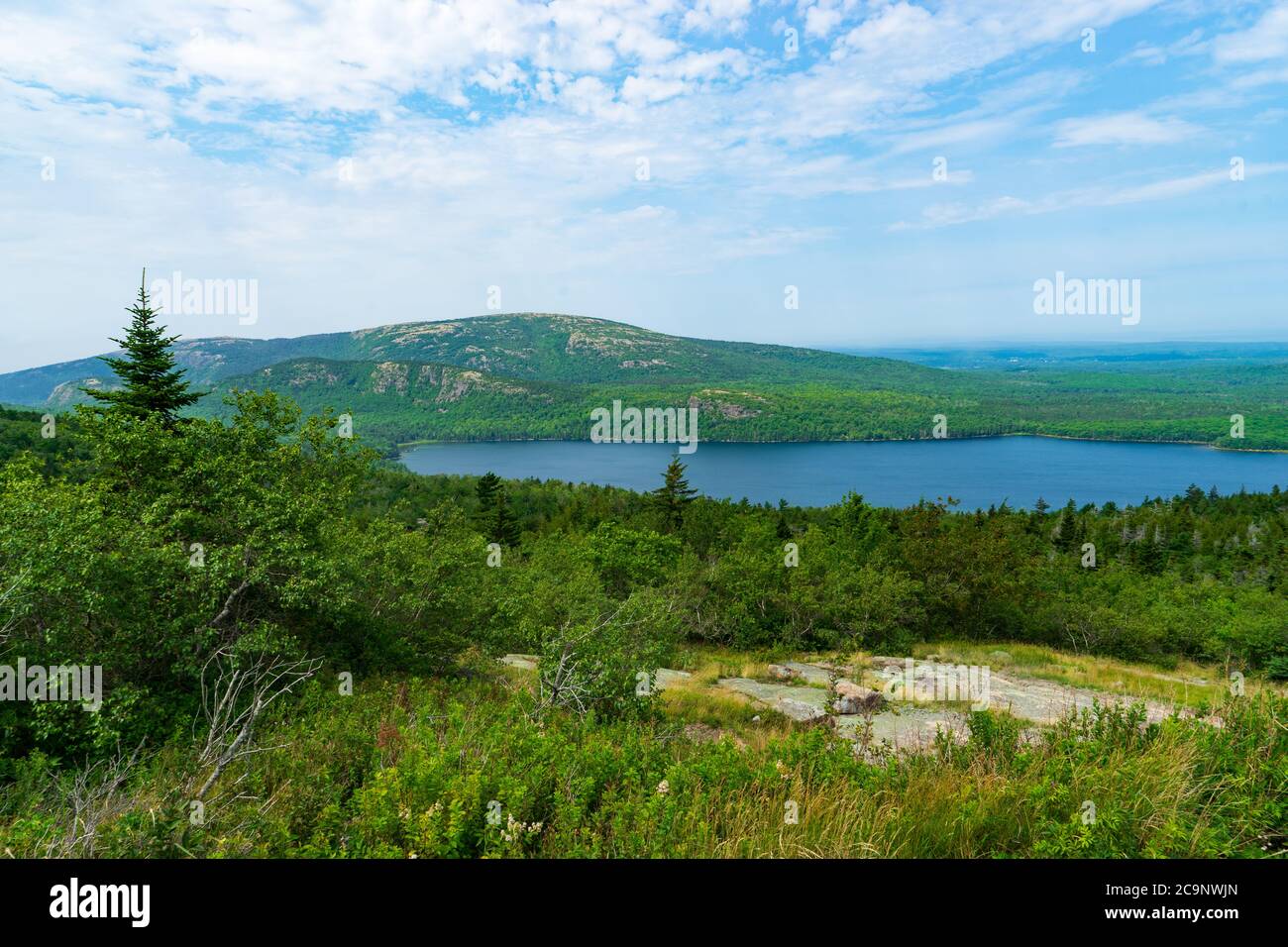 Acadia National Park in Maine. Stock Photo