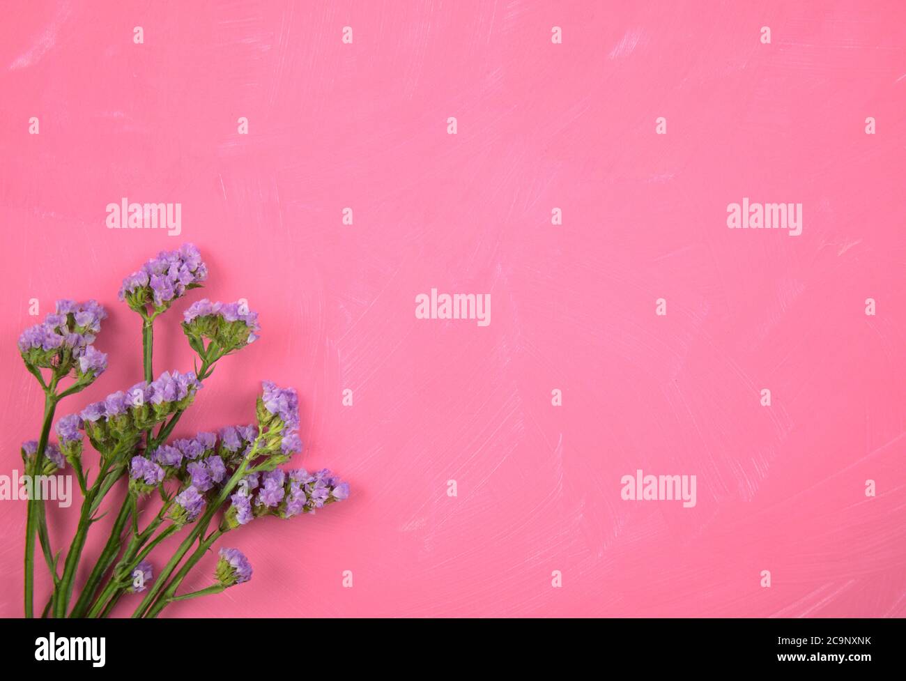 Top view of purple flowers, botany flat lay on pink grunge scratched acrylic painted canvas texture background. For your mockup, overlay, congratulate. Stock Photo