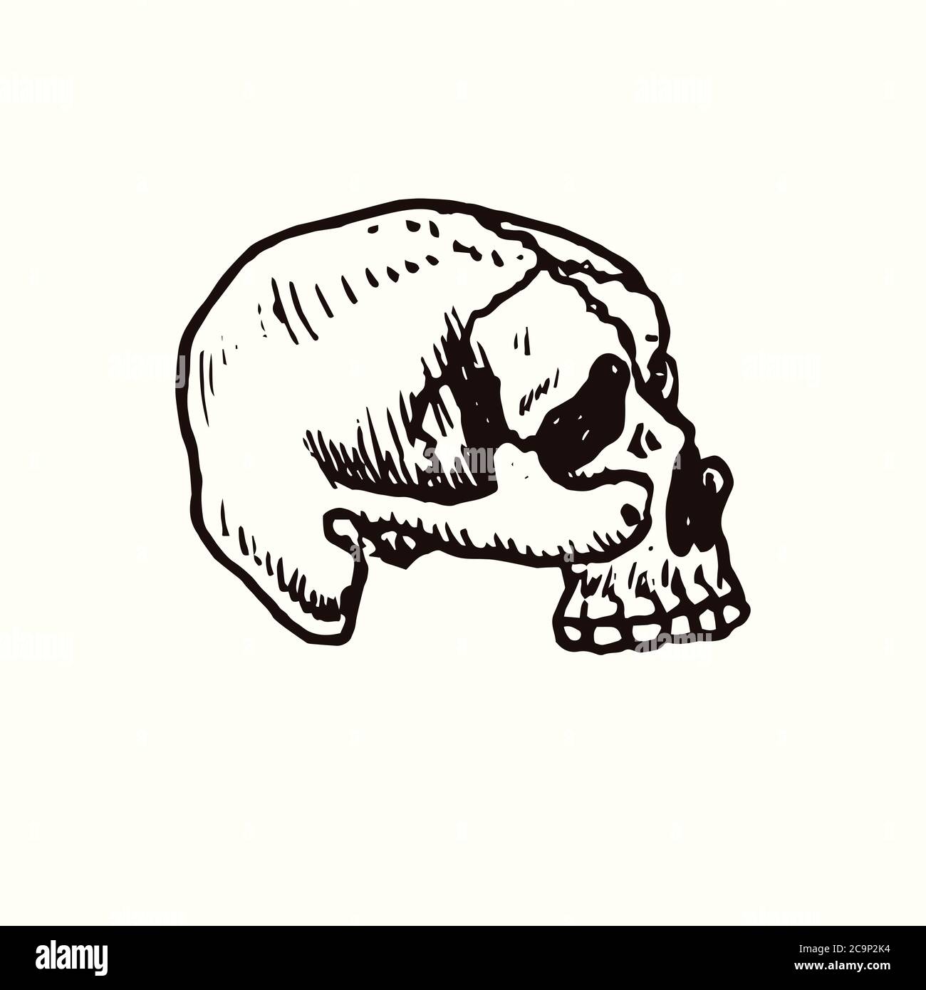 Premium Vector  A blackandwhite illustration of a skull which is side view