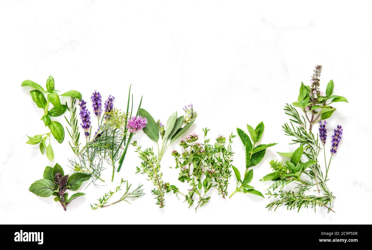 Fresh herbs on marble stone background. Basil, sage, thyme, rosemary, mint, dill, savory, chive, lavender Stock Photo