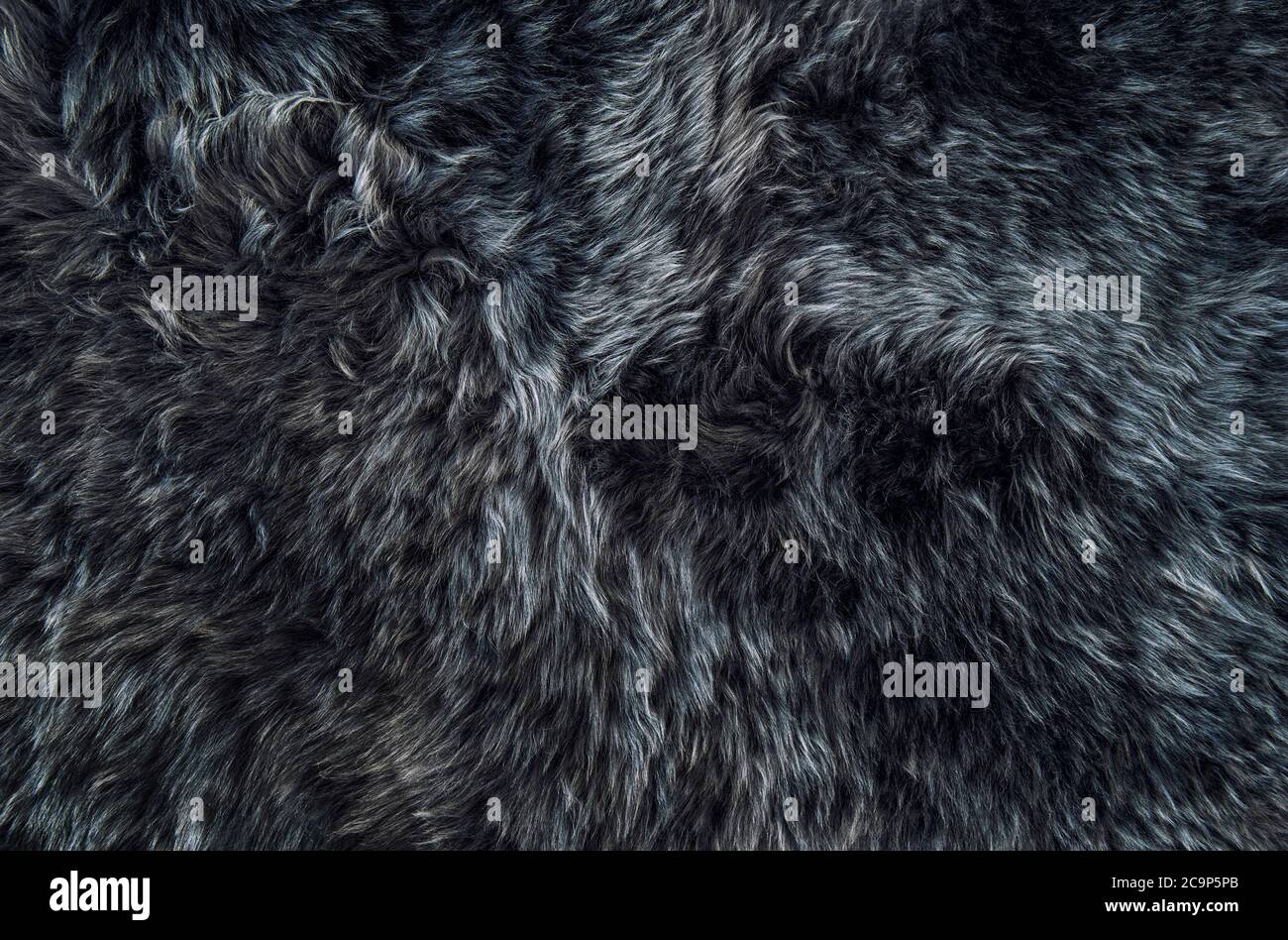 Sheepskin rug dark background. Wool texture. Sheep fur Stock Photo