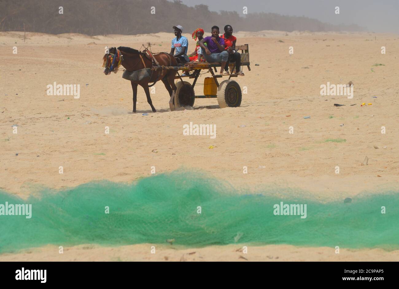 A horse cart in Lompoul beach, a fishing village in Senegal’s northern coast Stock Photo