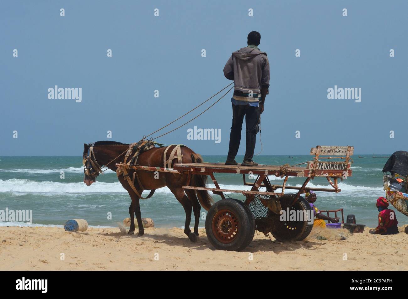 A horse cart in Lompoul beach, a fishing village in Senegal’s northern coast Stock Photo