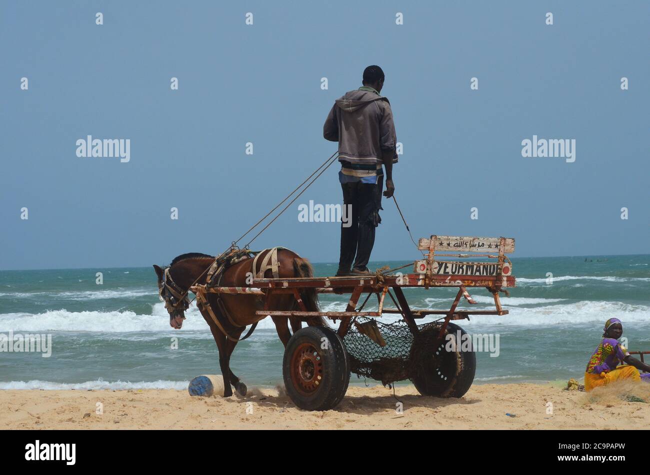 A horse cart in Lompoul beach, a fishing village in Senegal’s northern coast Stock Photo