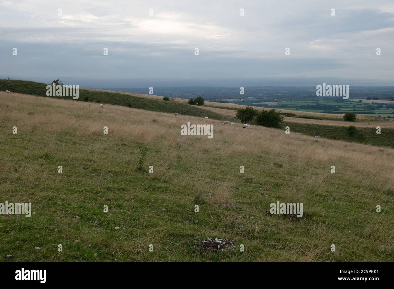 Salisbury Plain above Bratton, Wiltshire,UK Stock Photo