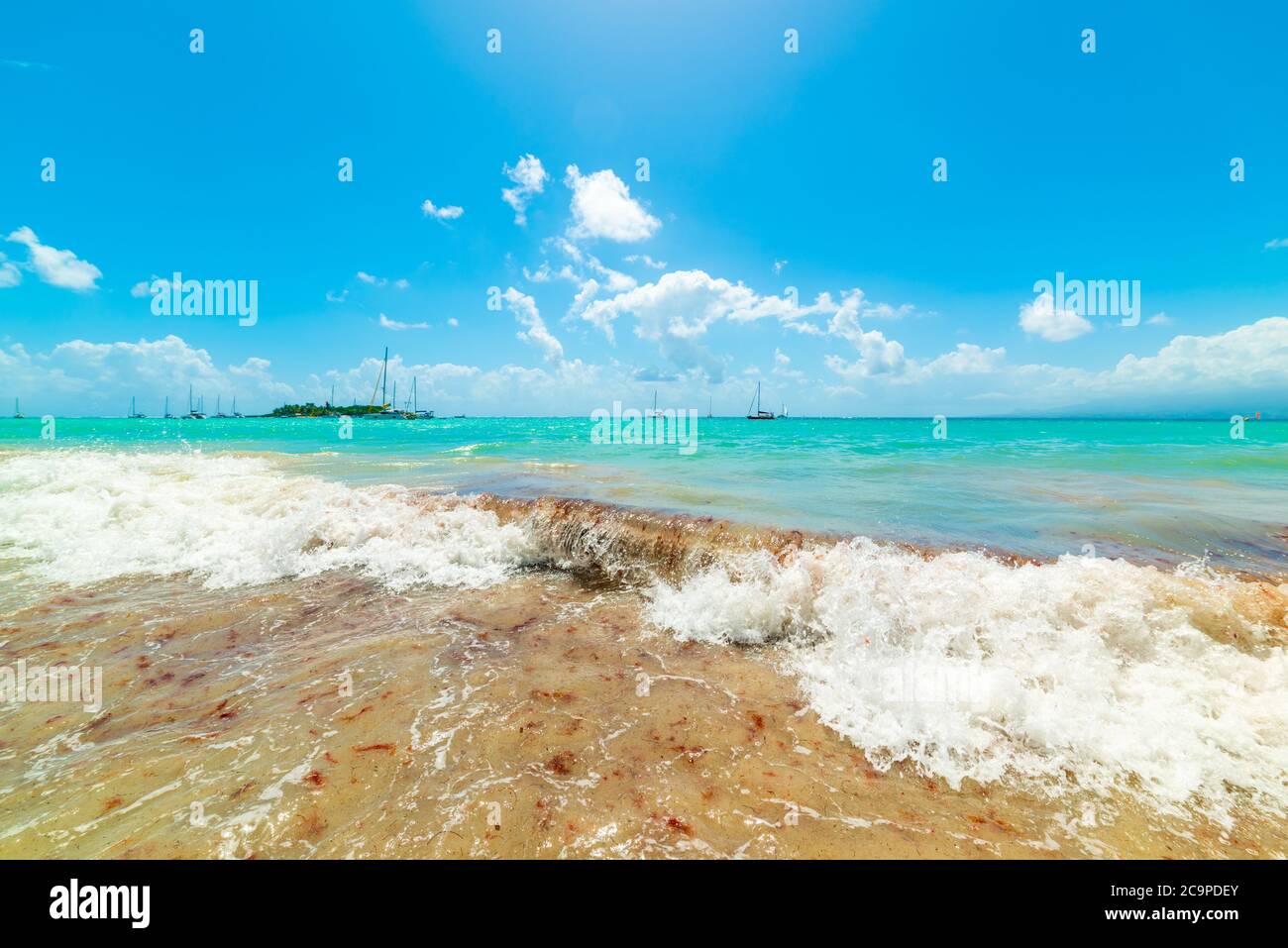 Blue sky over beautiful La Datcha beach in Guadeloupe, Caribbean sea Stock Photo