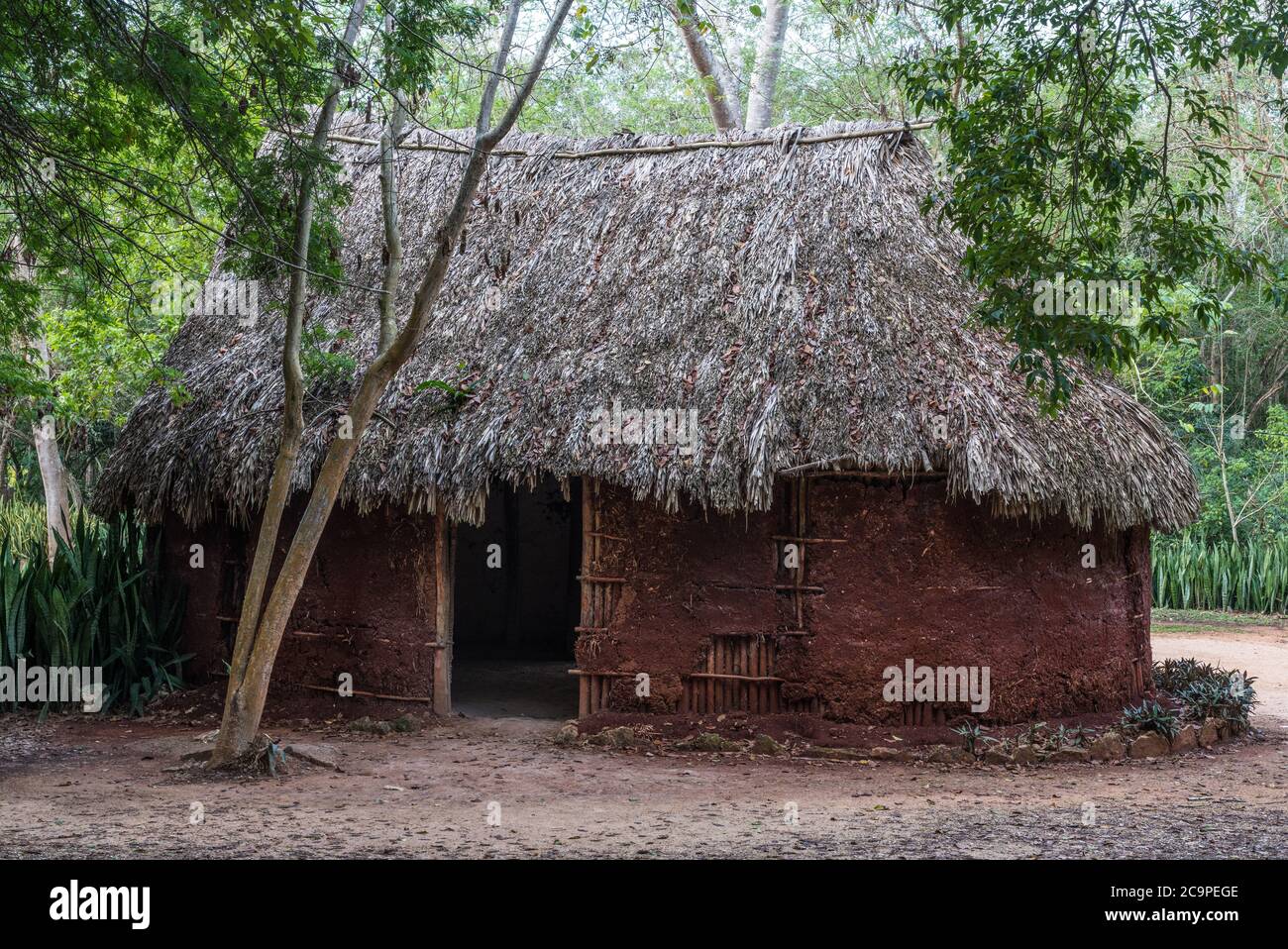 Thatch house mexico hi-res stock photography and images - Alamy