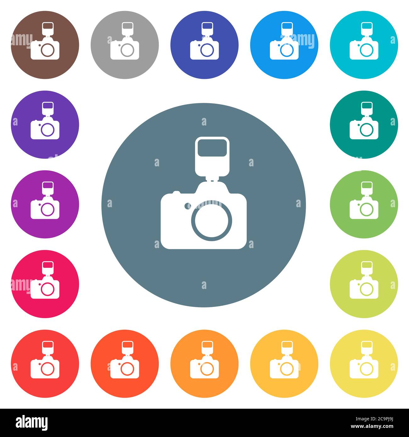 Camera with flash flat white icons on round color backgrounds. 17 ...