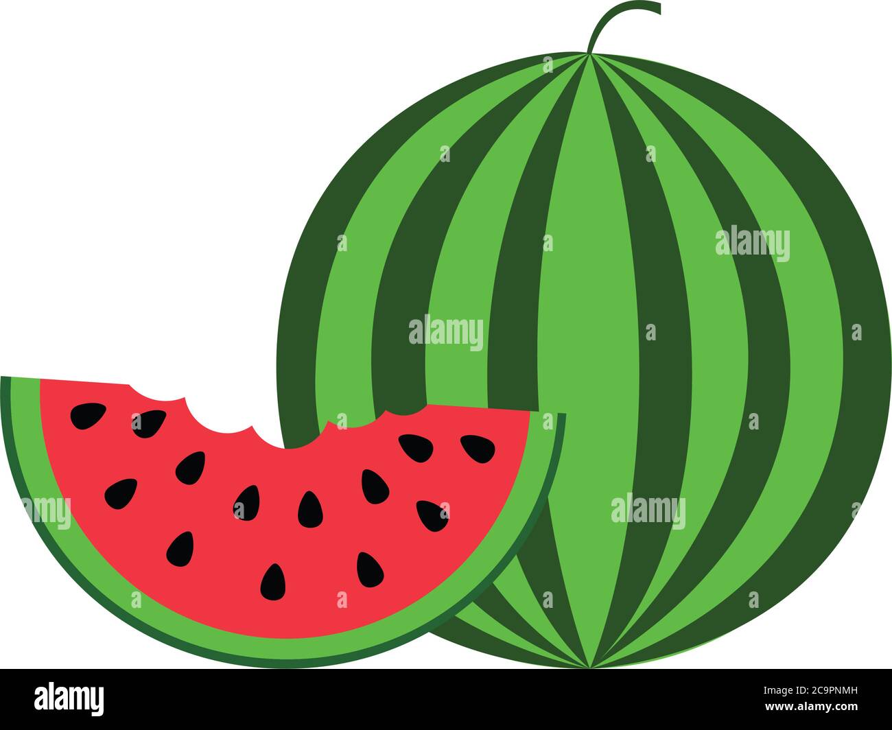 Watermelon Icon flat illustration isolated on white Stock Vector