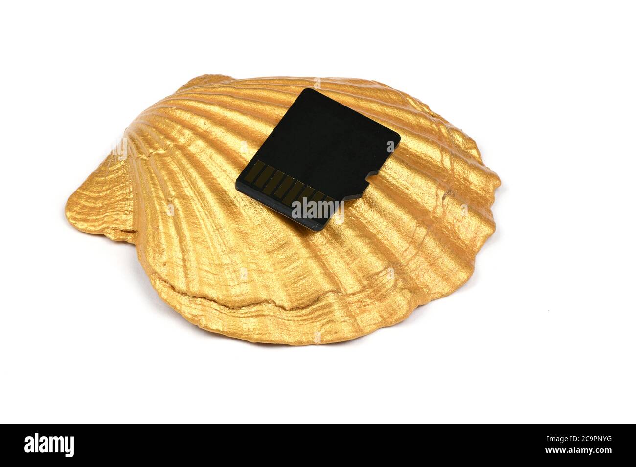 Memory Card Golde SD memory card on golden seashell isolated on white background. High ...