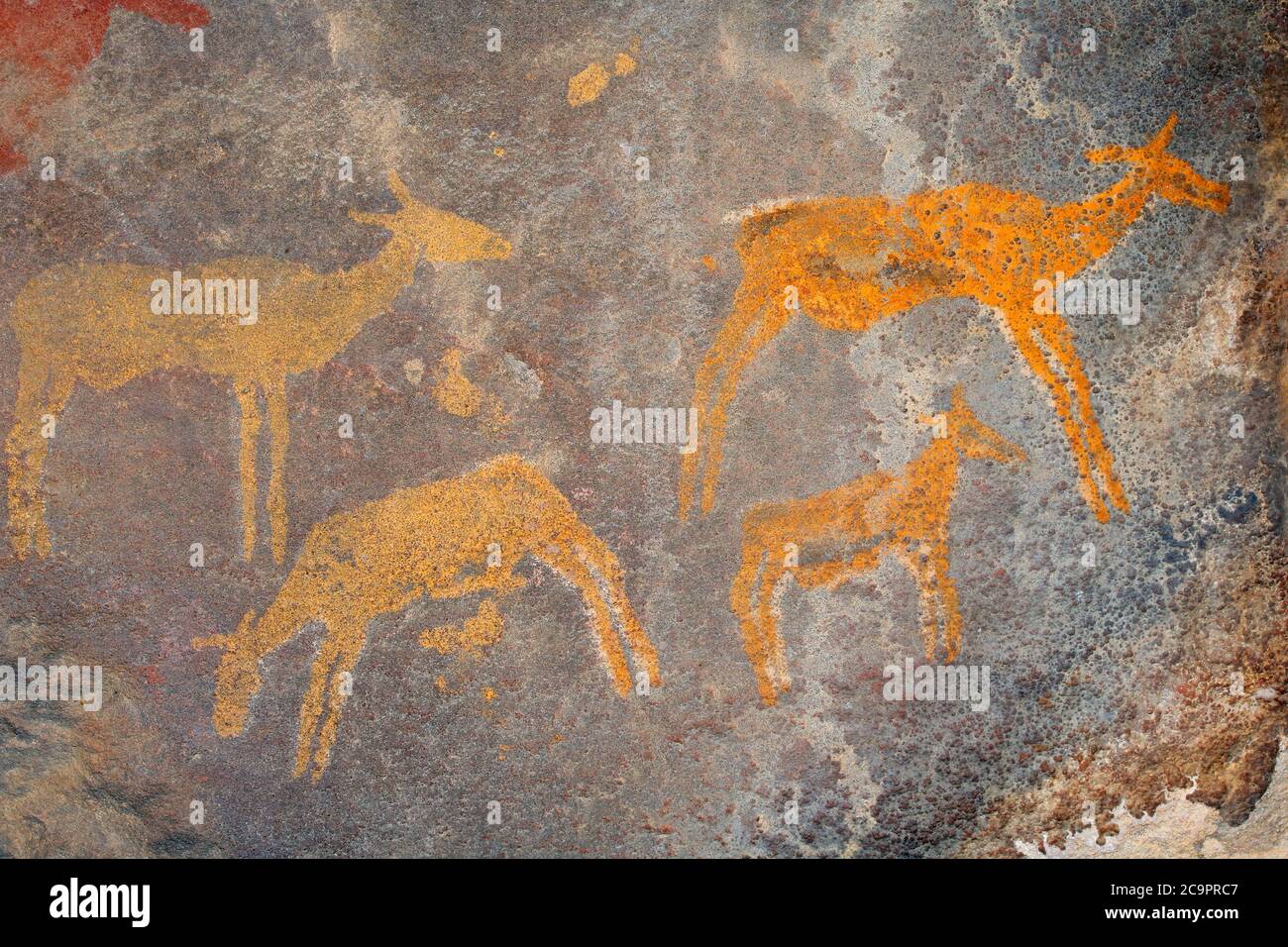 Bushmen (san) rock painting of African antelopes, South Africa Stock Photo