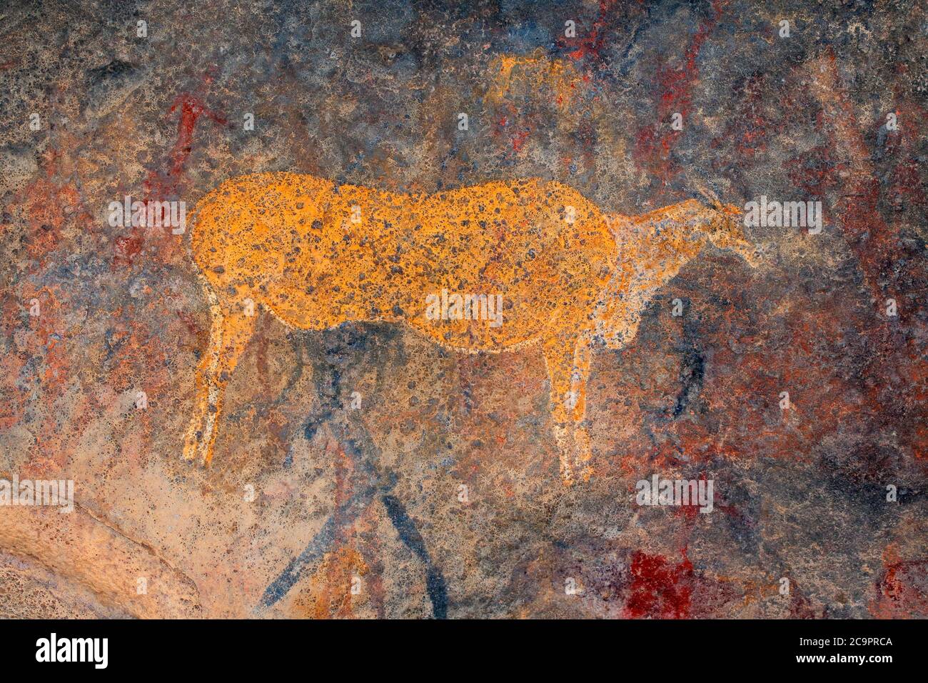 Bushmen (san) rock painting of an eland antelope, South Africa Stock Photo