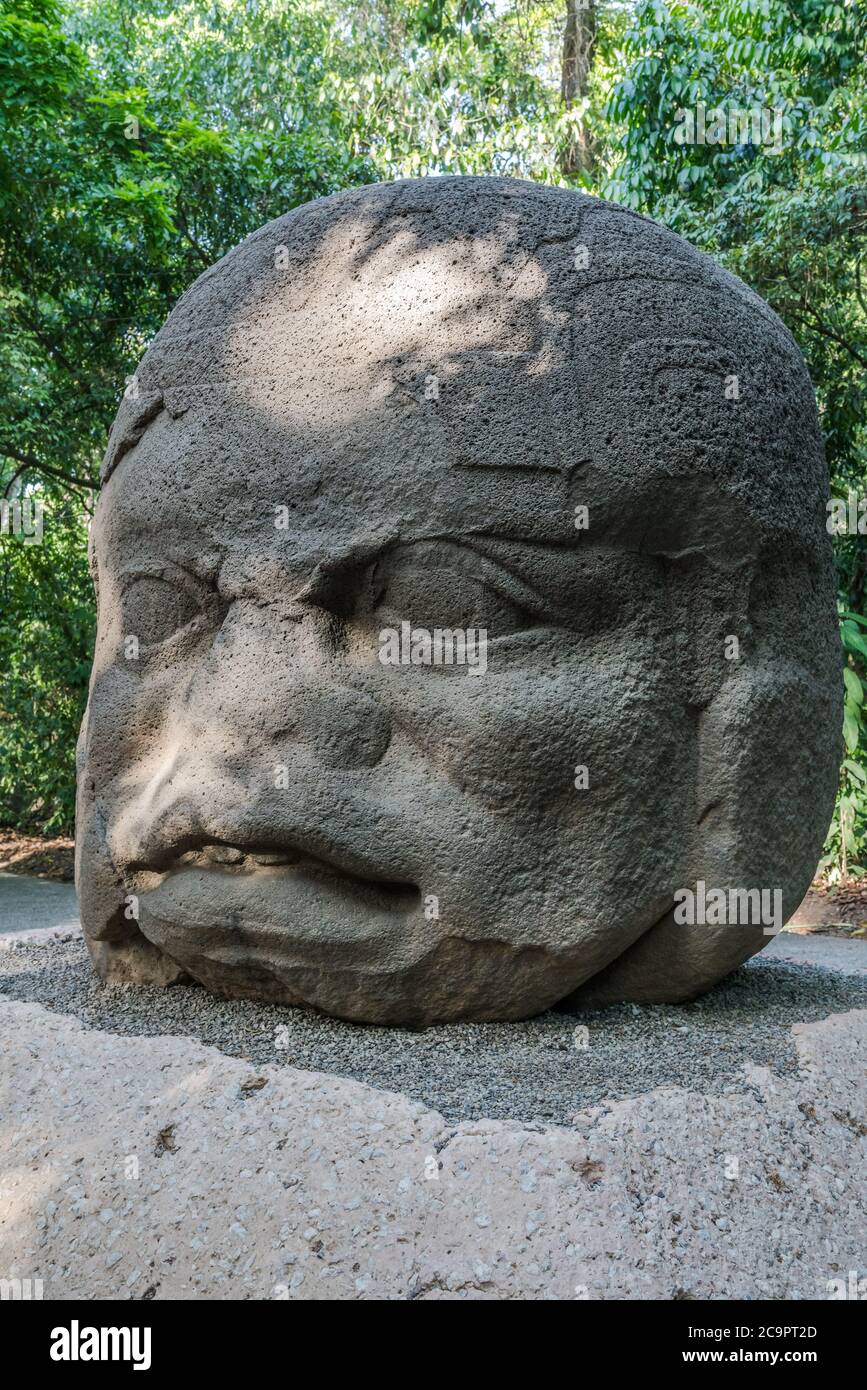 Monument 4, the Old Warrior, from the Olmec ruins of La Venta ...