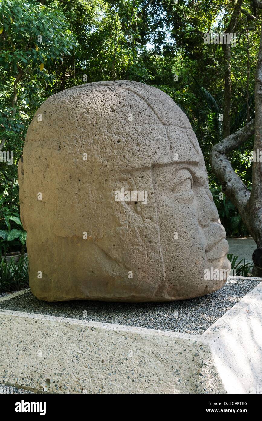 A giant carved stone head from the Olmec ruins of La Venta. Preclassic