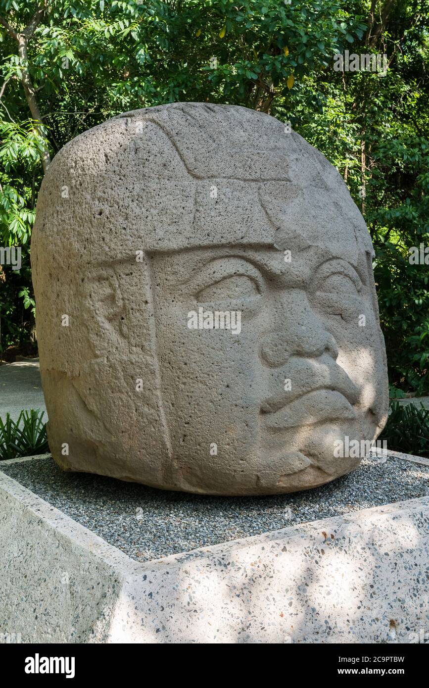 A giant carved stone head from the Olmec ruins of La Venta. Preclassic