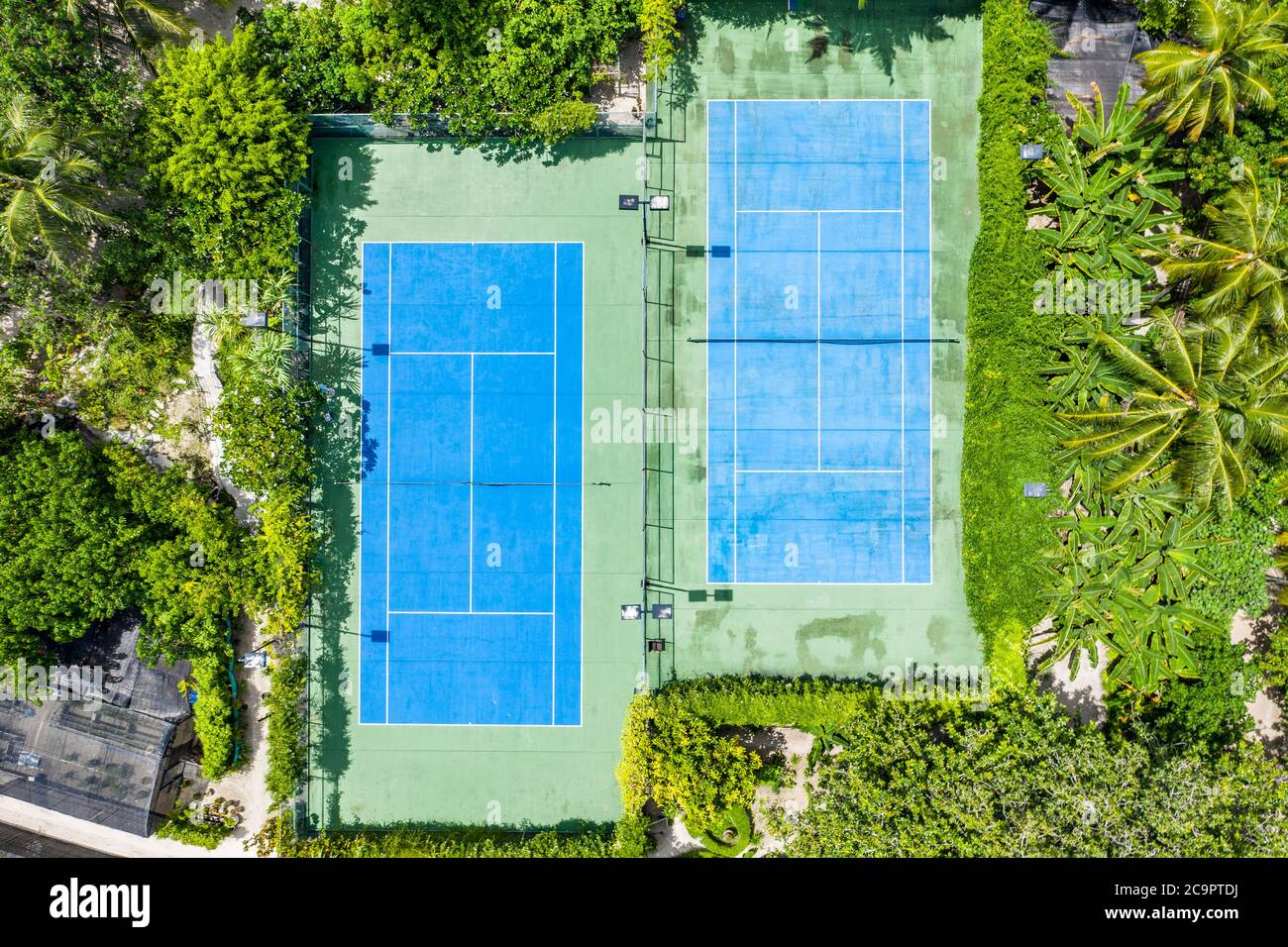 Amazing birds eye view of a tennis court surrounded by palm trees. Aerial tennis fields, outdoor sport and recreation concept Stock Photo