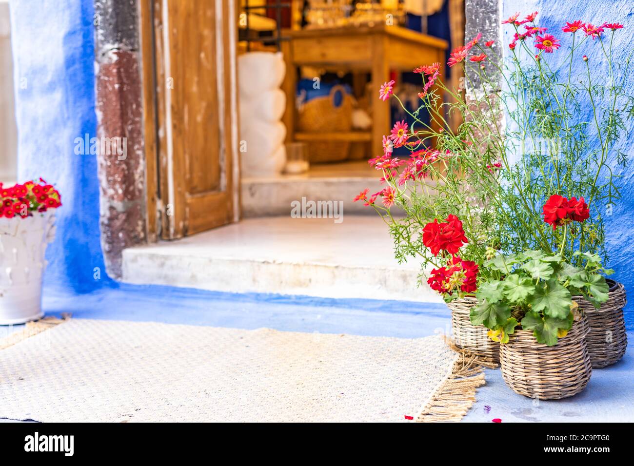 Old wooden door, red flowers with blur door Stock Photo
