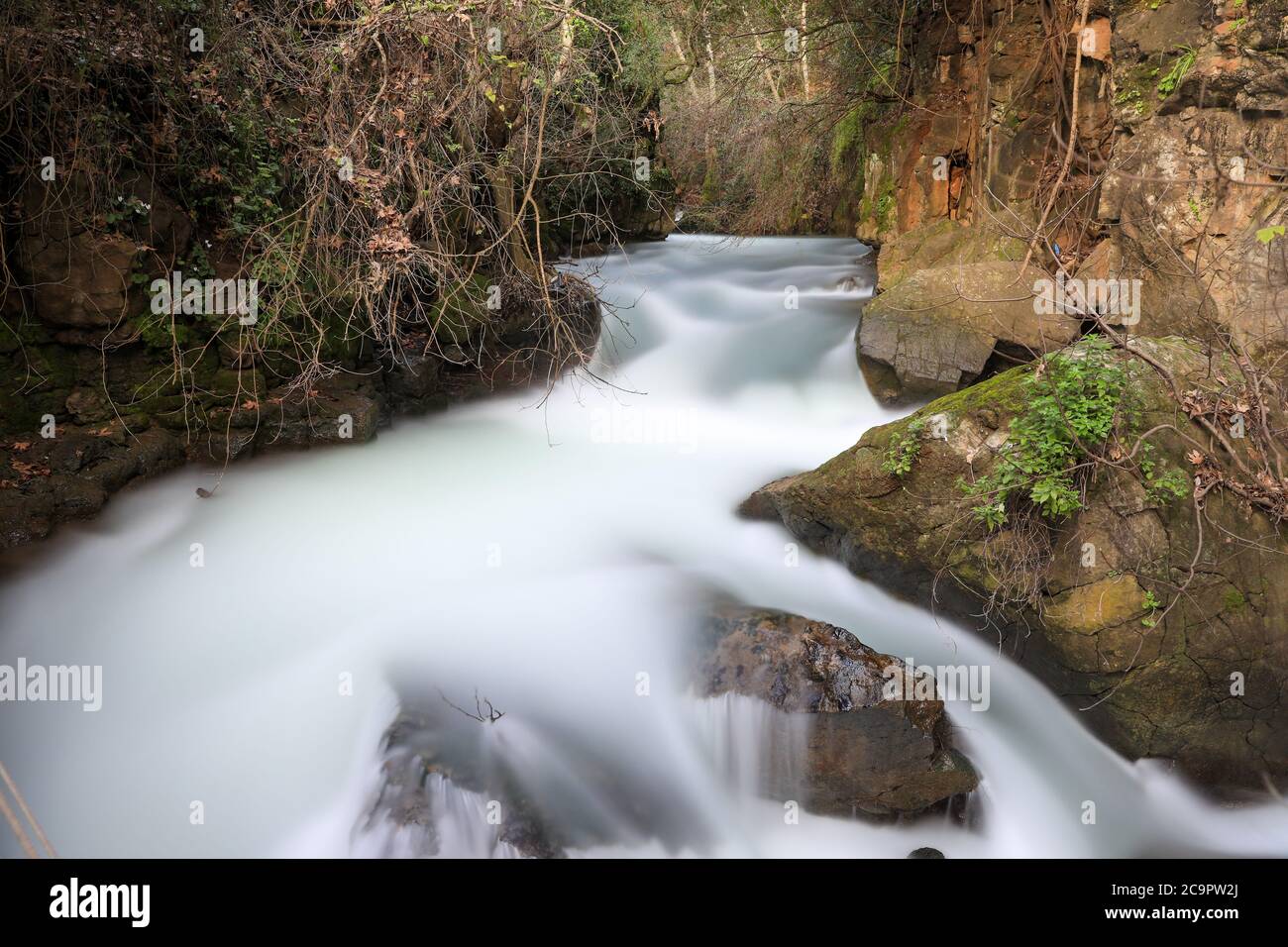The Banias River in Israel. Long exposure photography of water flow in a river. High-quality photo Stock Photo