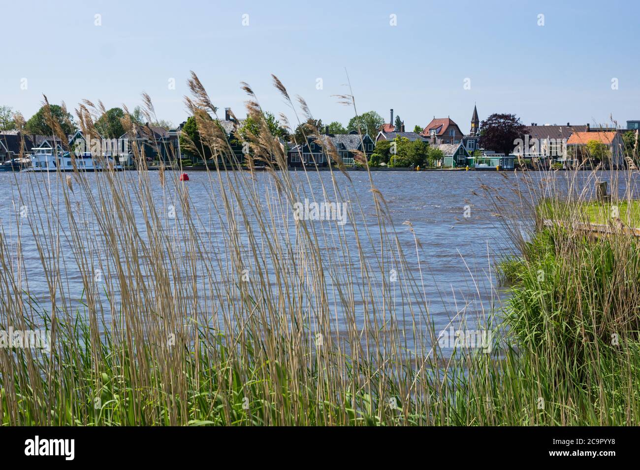 Grass in foreground of Dutch houses on the Zaans river at Zaanse Schans in North Holland, the Netherlands. Stock Photo