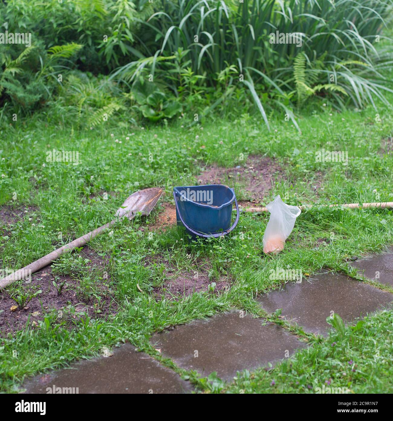 hand tools and bucket for seeding grass in the garden, outdoor shot