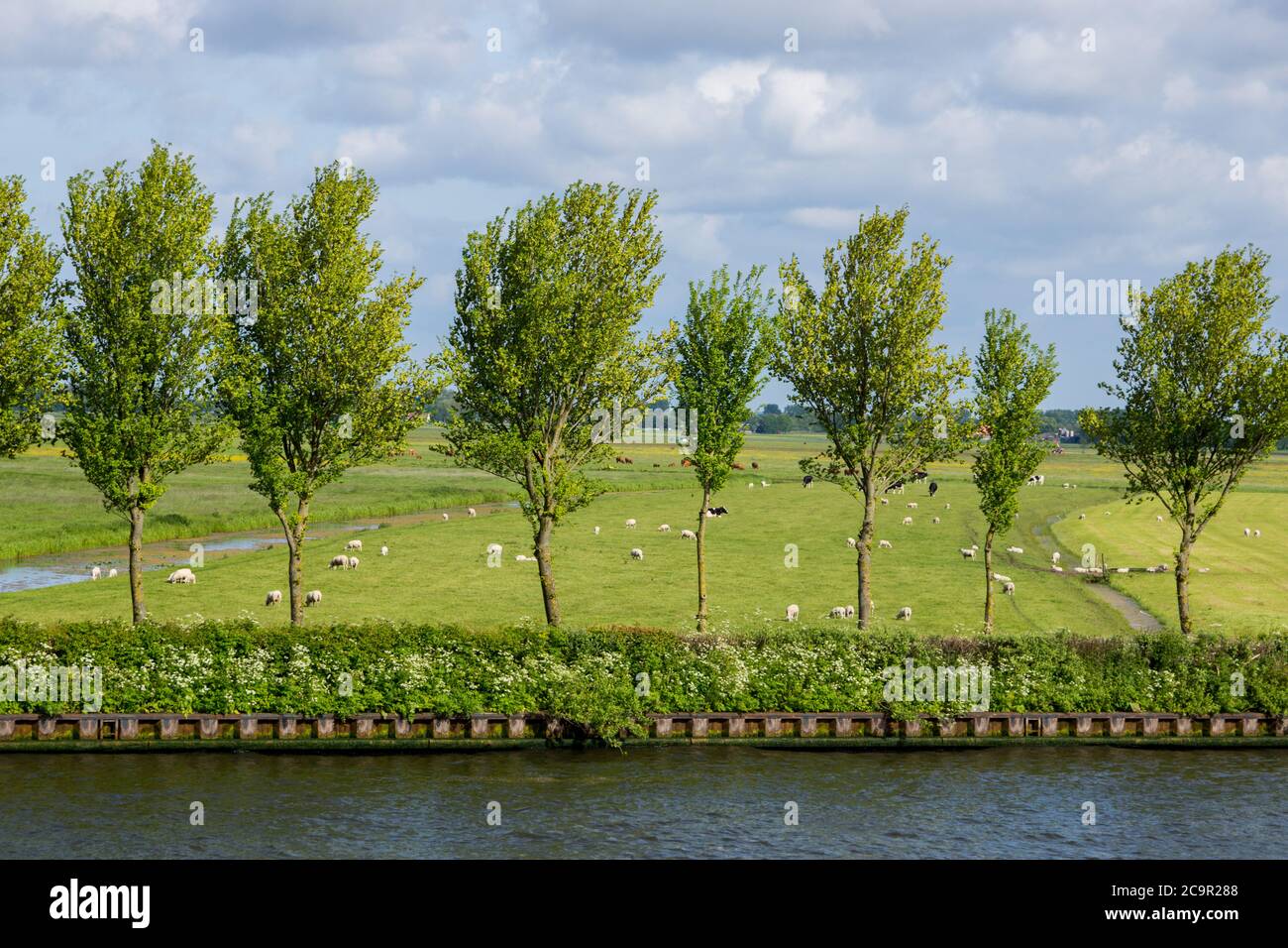 Rhine River cruise sailing out from Amsterdam past beautiful farmland in the Netherlands Stock Photo