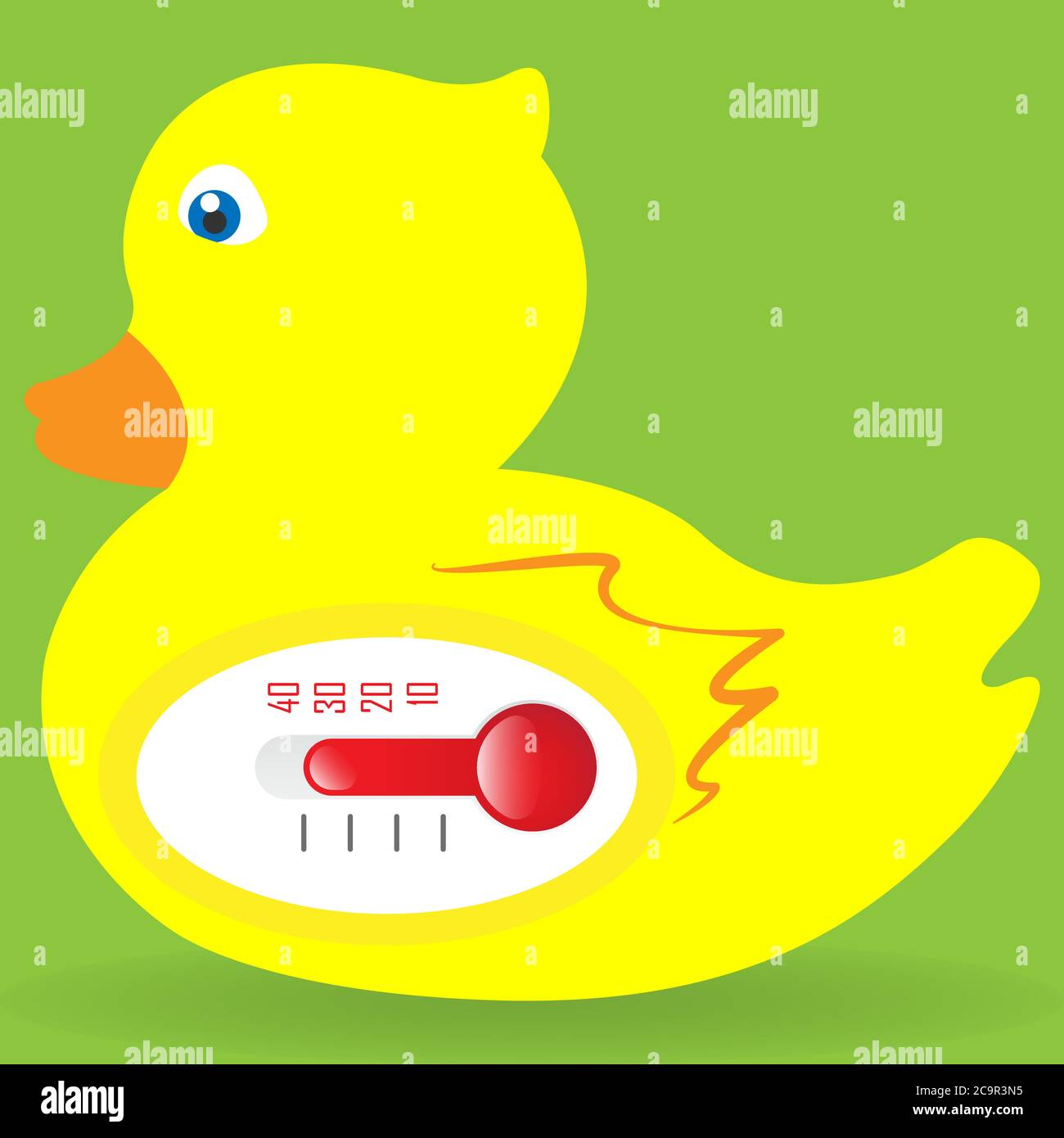 duck water thermometer