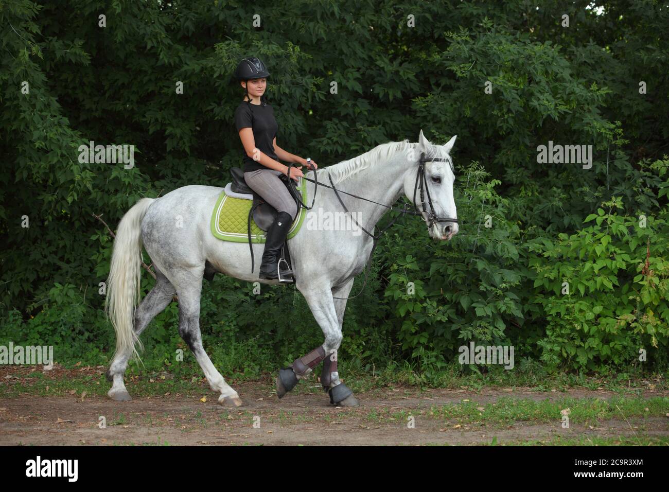 Equestrian model girl riding sportive dressage horse in summer fields