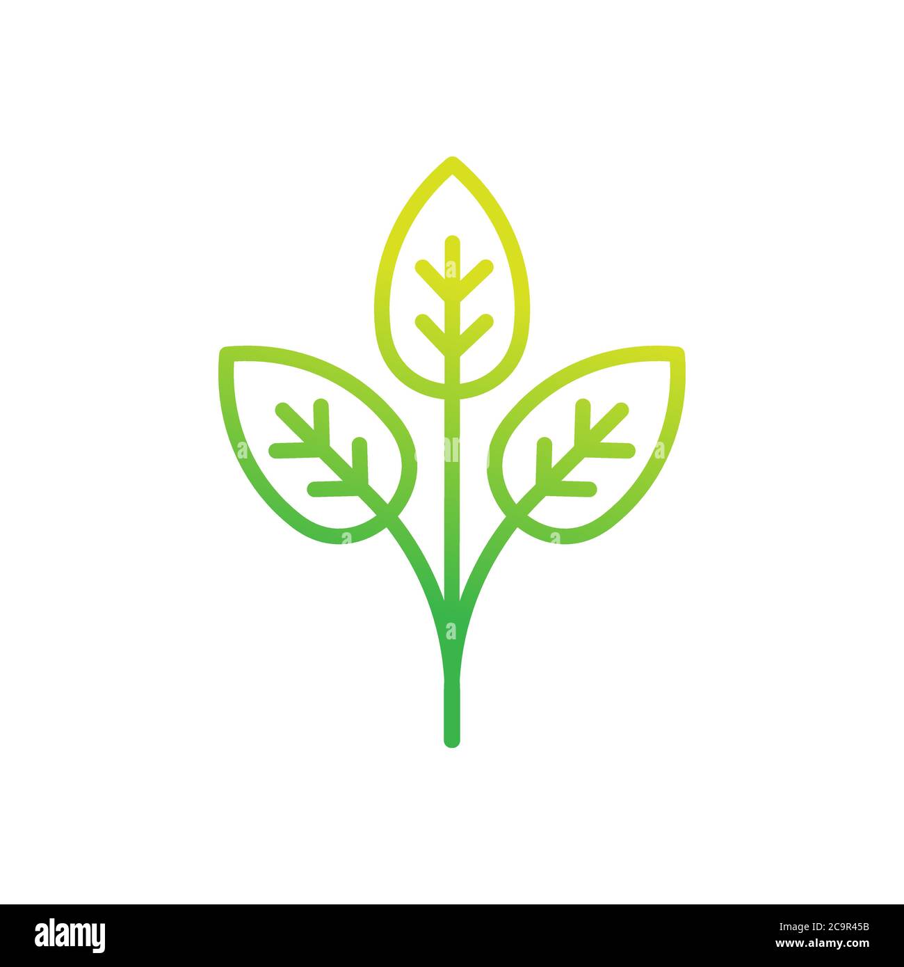 Leaf icon design vector illustration. Abstract Leaf icon vector concept ...