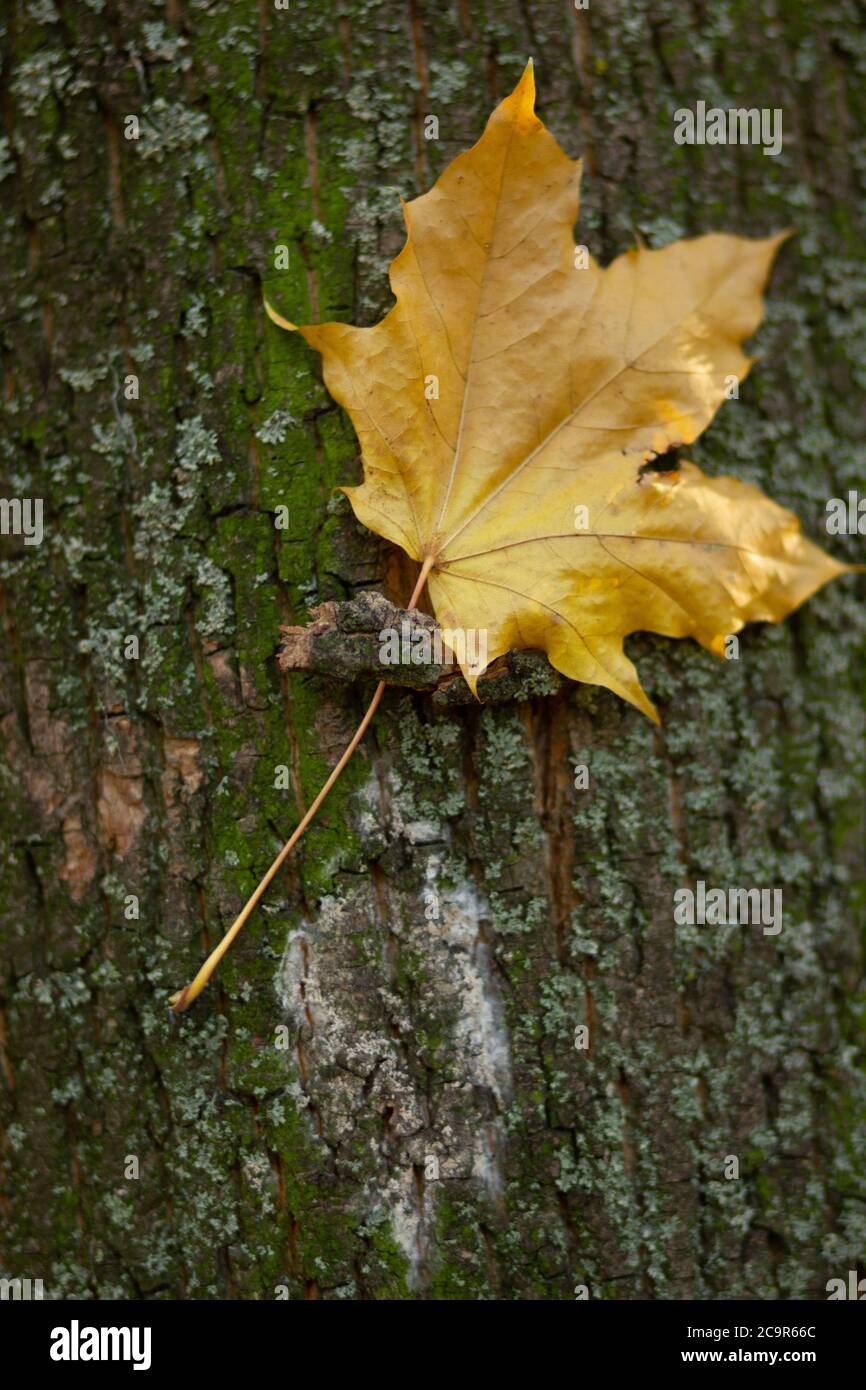 Loneliness symbol hires stock photography and images Alamy