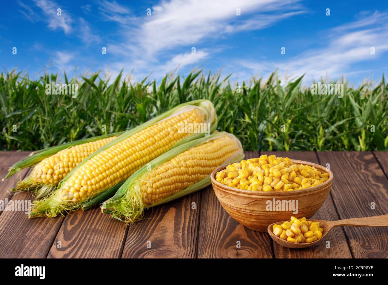 corn cobs and canned seeds in clay bowl Stock Photo