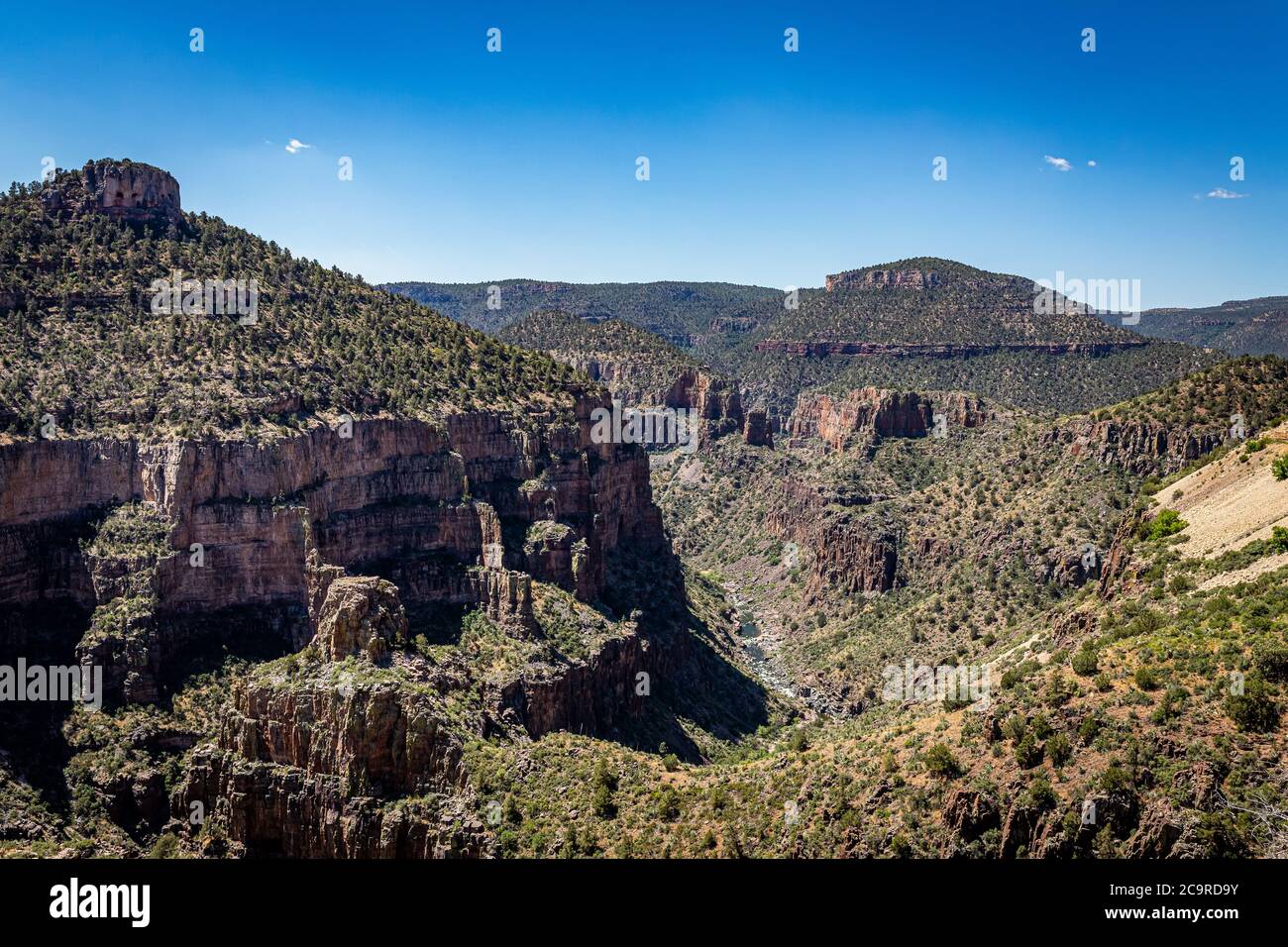 A view of Salt River Canyon from Becker Butte Lookout along US Highway