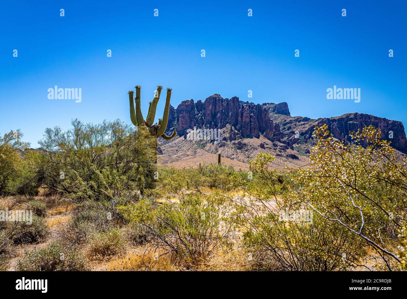 Desert views along Arizona State Rout 88, a former stagecoach route known as the Apache Trail. Stock Photo
