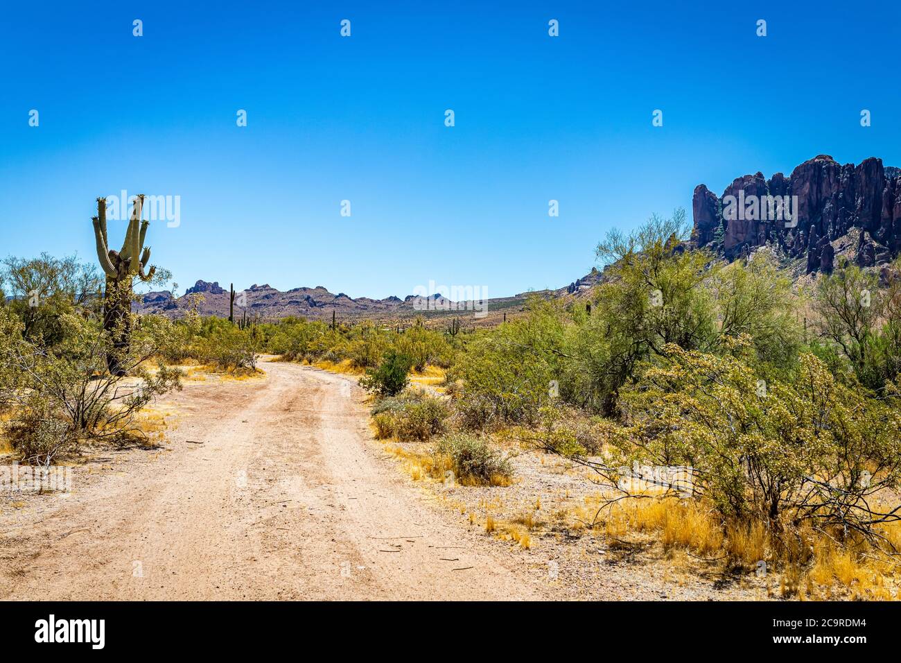 Desert views along Arizona State Rout 88, a former stagecoach route known as the Apache Trail. Stock Photo