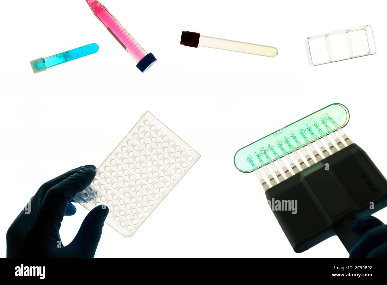 Genetic research Establishment of paternity through DNA testing Stock ...