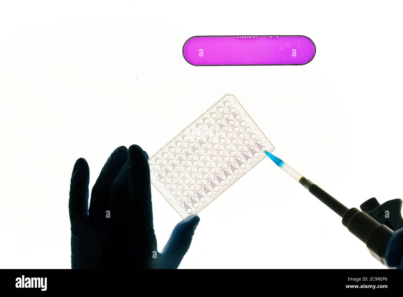 Genetic research Establishment of paternity through DNA testing Stock ...