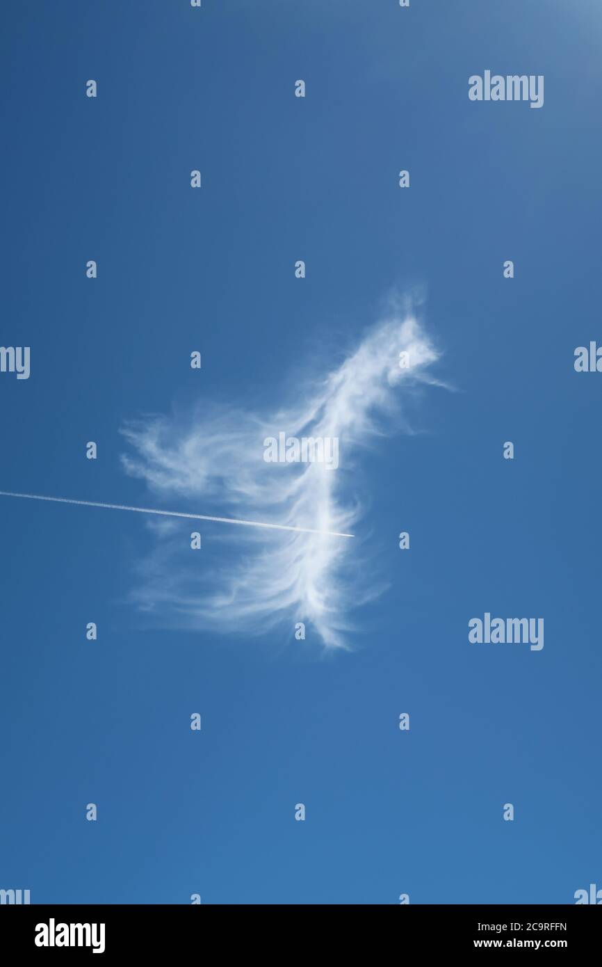 beautiful single cloud on blue sky a plane contrail piercing it Stock Photo